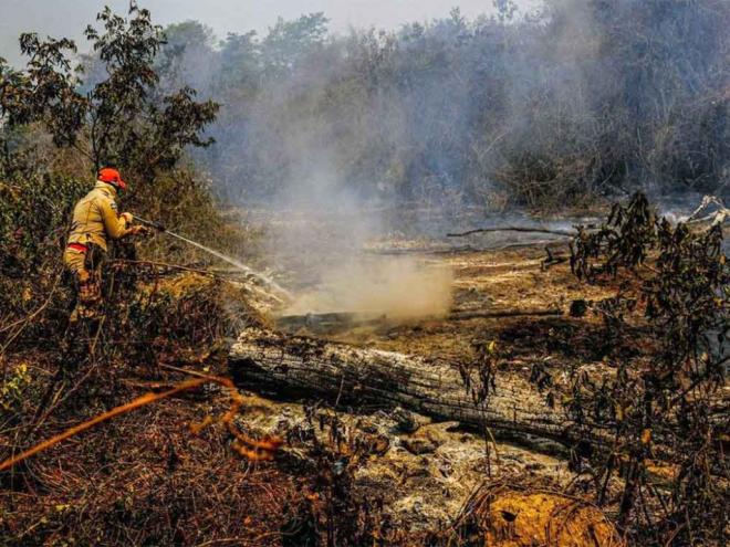 Brigadista combate o fogo na mata. Segundo o governo de Mato Grosso, perícias mostram que queimadas não têm causas naturais e polícia busca os responsáveis