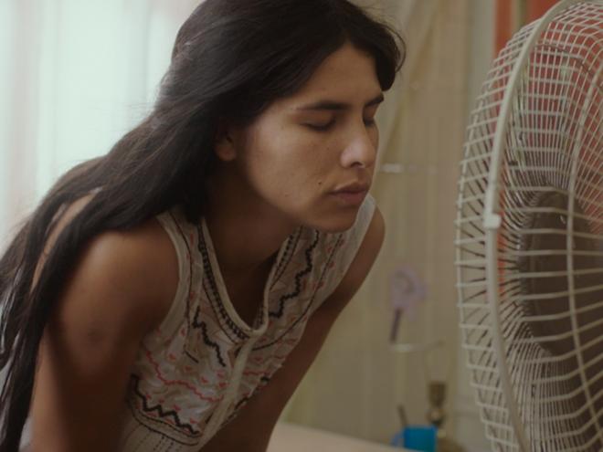 O despertar das formigas, longa-metragem originário da Costa Rica