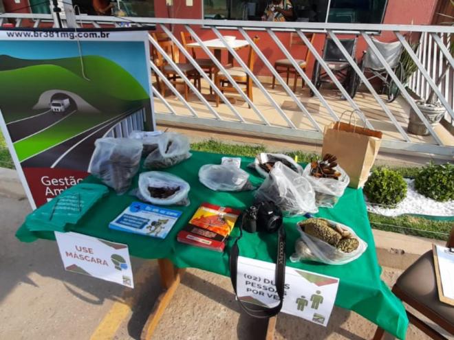 Gestora Ambiental do empreendimento realizou a distribuição de mudas ao longo da rodovia