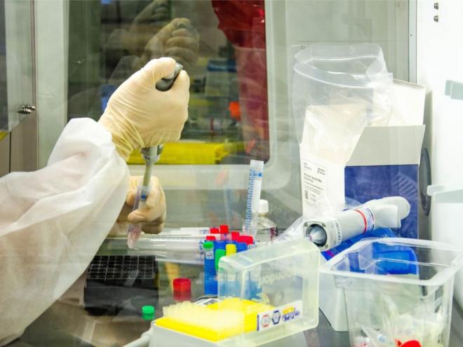 Houve queda de 10,35%, ou 79,23 registros a menos, em relação à sexta-feira anterior (18), quando haviam sido registradas 767,29 mortes.