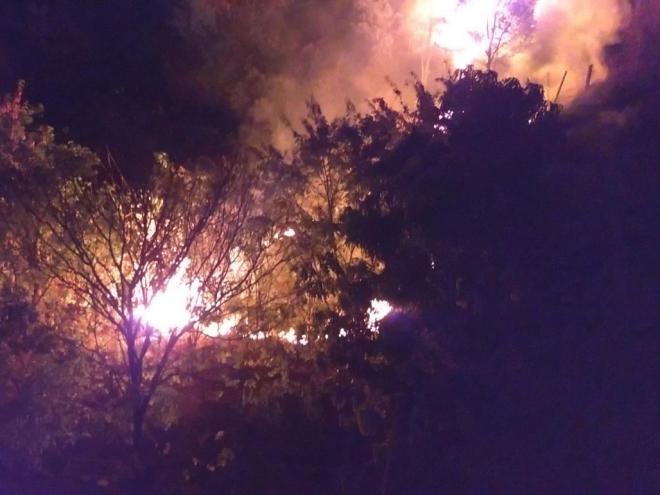 Fogo começou em pasto na rua Rio das Velhas, alastrou-se durante toda a tarde e atingiu área de preservação à noite 