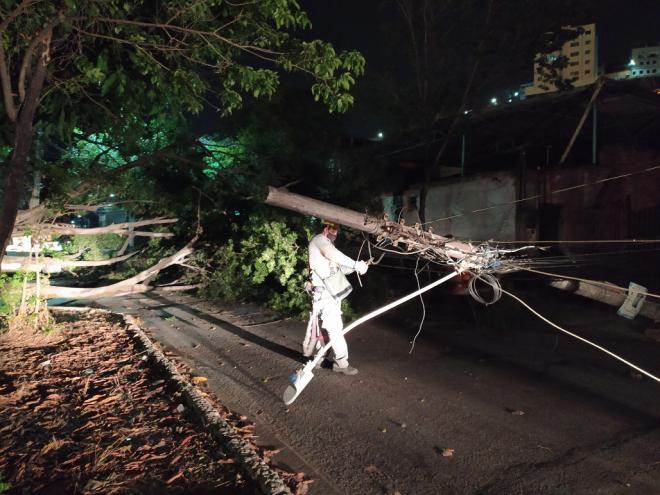 Na rua  Xingus, bairro Iguaçu, essa árvore não suportou a ventania