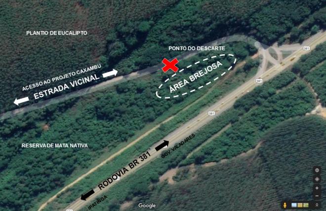 Localização do crime ambiental, com acesso à BR-381 em Santana do Paraíso 