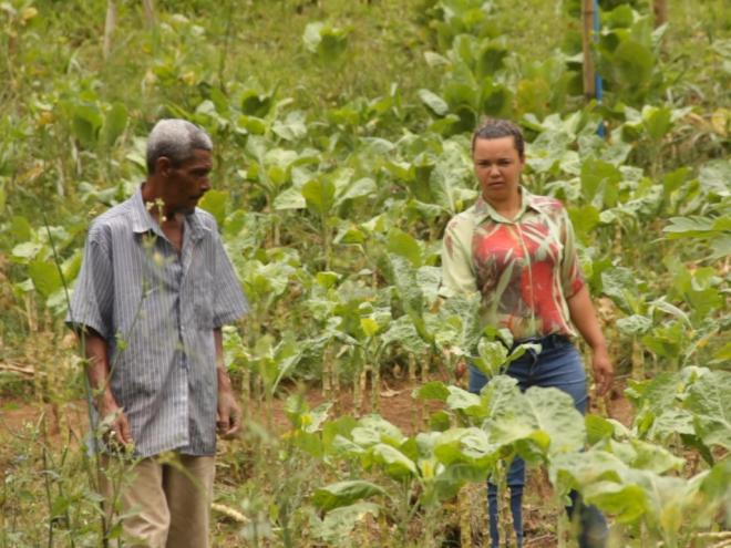 Cristina e Antônio são pequenos produtores rurais, ambos da Serra dos Cocais, assistidos no plano ''Brasil sem Miséria''