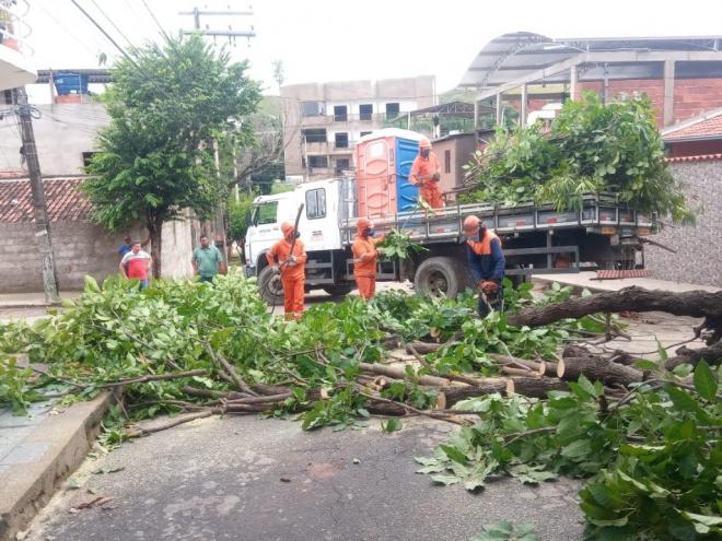 Além de vários pontos de alagamento, chuva provocou a queda de árvores na cidade