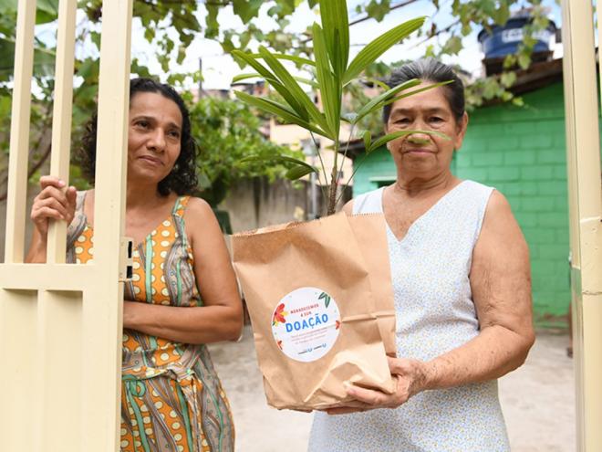 Em Ipatinga, moradores podem trocar alimentos não perecíveis por mudas de árvores