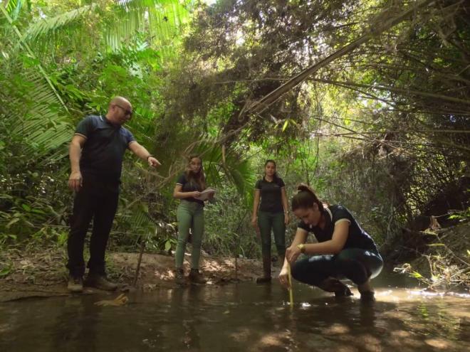Programa ambiental atua na preservação e recuperação de nascentes e de matas ciliares nos municípios que recebem o agregado siderúrgico para pavimentação de estradas rurais