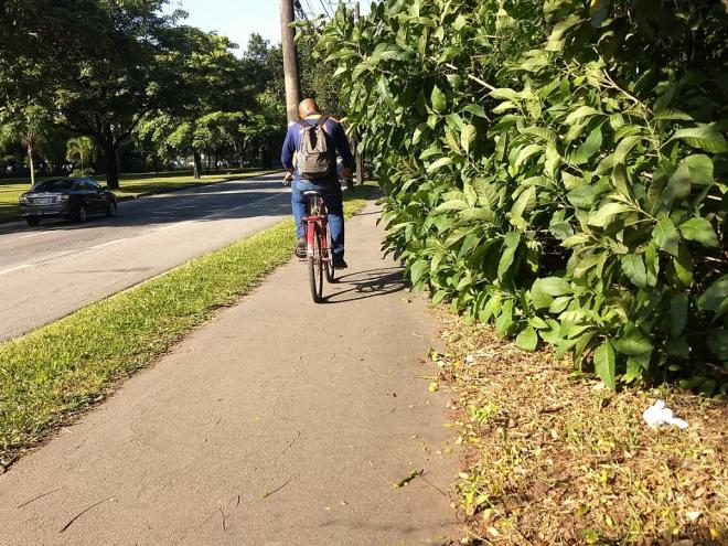 O mato cresceu na lateral e já ocupa a metade da pista nas proximidades do escritório central 