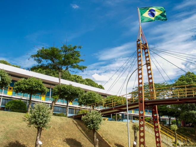 A vaga ofertada é referente à disciplina de Patologia Clínica Veterinária