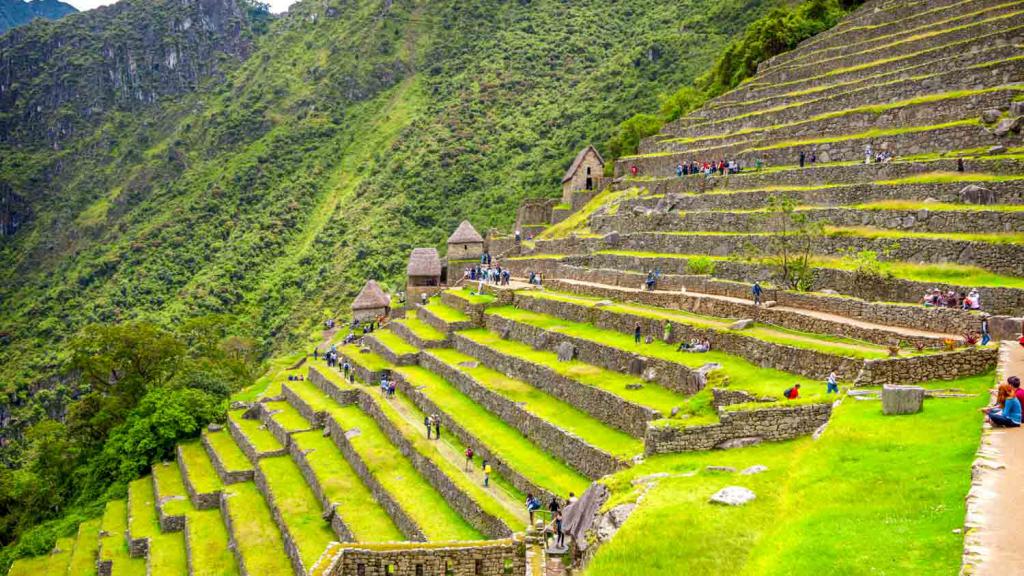 Campos de Machu Pichu