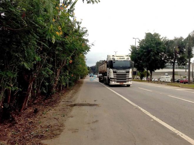 As árvores do cinturão verde que separa a Estrada de Ferro Vitória/Minas da área urbana tinham crescido e os galhos fecharam o acostamento