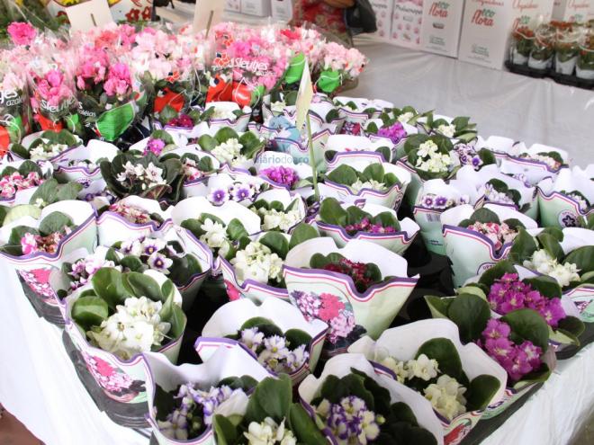 Flores costumam ser um dos presentes mais escolhidos para esta data 