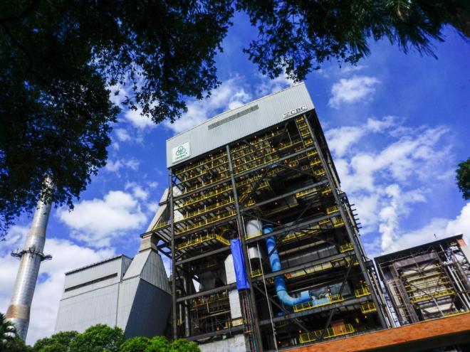 Os documentos apresentam informações sobre as estratégias corporativas voltadas ao desenvolvimento sustentável e a evolução financeira e patrimonial da Cenibra