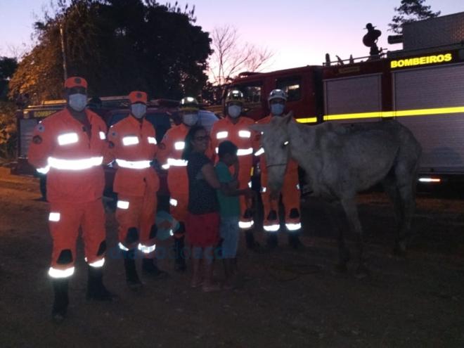 A equipe dos bombeiros, ao lado da proprietária do cavalo, logo depois de concluído o resgate
