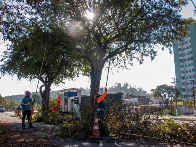 Cortes obedecem a critérios técnico-científicos e são feitas por questões preventivas, informa administração municipal 