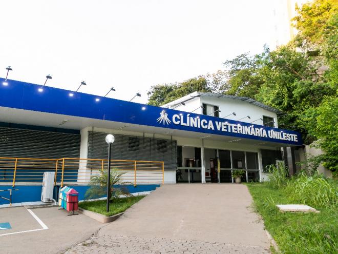 O espaço disponibiliza atendimento aos animais domésticos da comunidade do Vale do Aço 