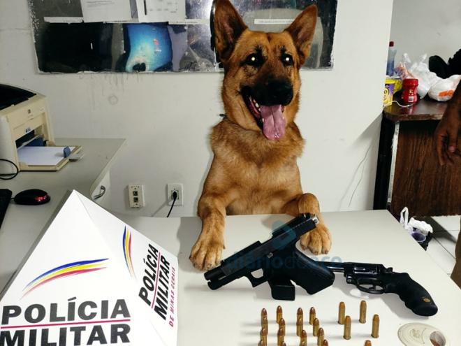 O cão Lion, da Rocca, encontrou onde estavam escondidas as duas armas de fogo