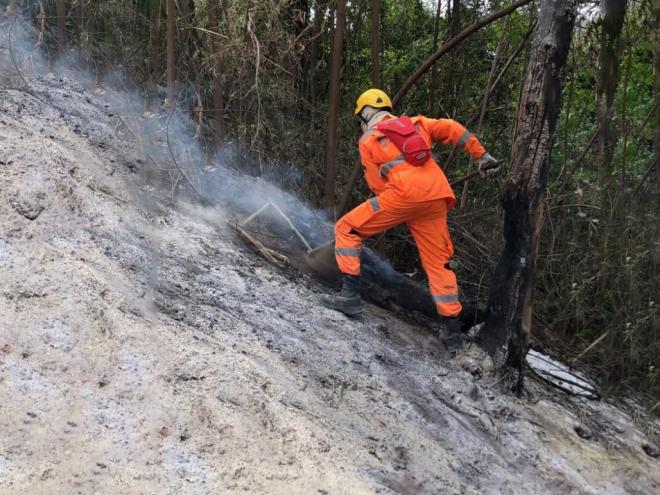 Bombeiro faz rescaldo em área atingida pelo fogo na APA Serra de Timóteo 