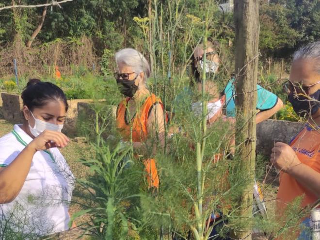 A Farmácia Verde fica localizada no Jardim Panorama, anexa ao Viveiro Municipal