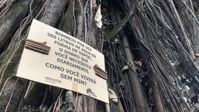 Uma campanha educativa, lançada ano passado em Ipatinga. tentava sensibilizar as pessoas a respeito da importância da árvore