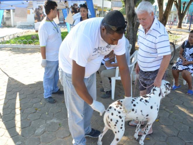 Dezessete postos de imunização serão disponibilizados