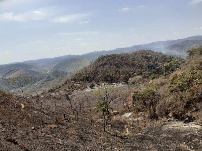 Incêndio atingiu diversas propriedades vizinhas totalizando uma área de 102,5 hectares de formação florestal remanescente da mata atlântica