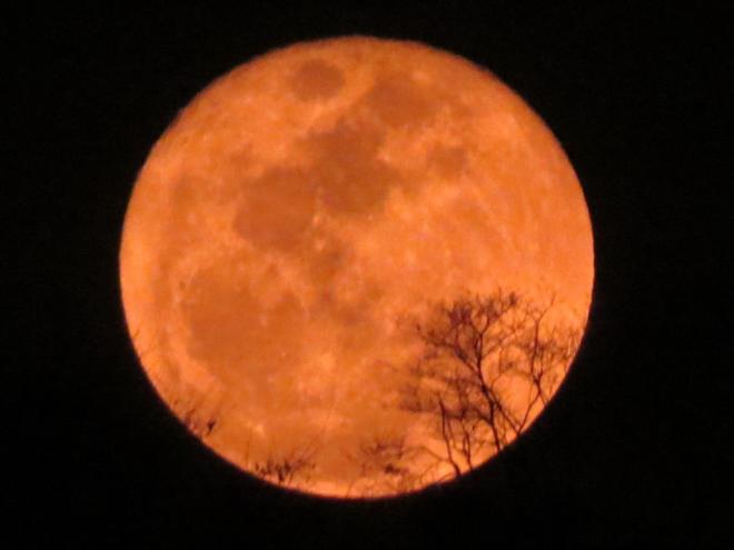 Lua cheia que antecedeu a chegada da Primavera 2021 