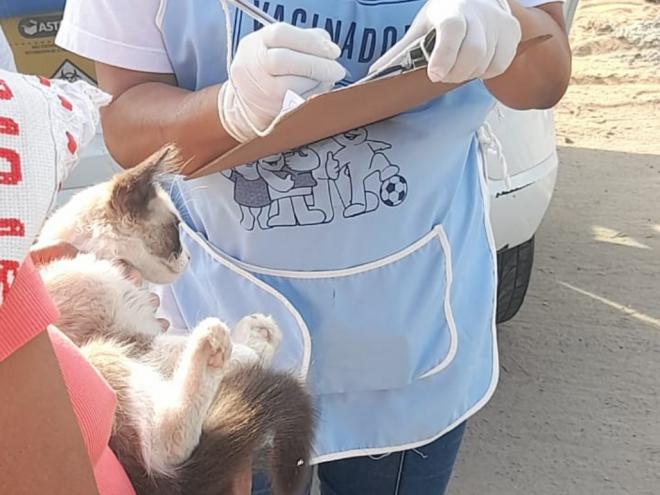 Imunização de cães e gatos acontece em mais de 30 locais da cidade; Expectativa é atender cerca de 2 mil animais