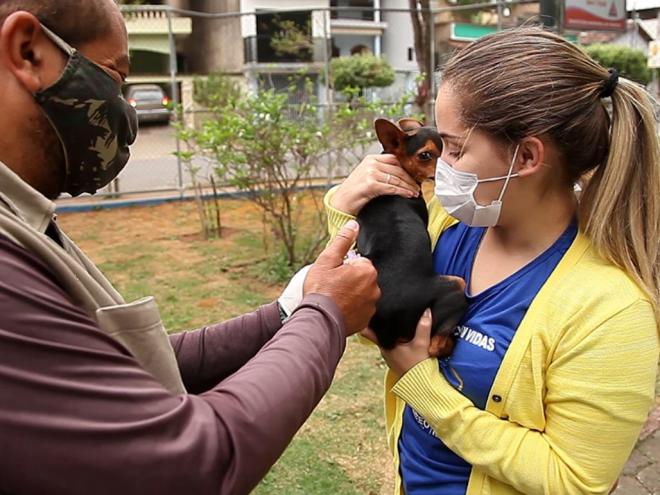  Até o momento, 8.419 animais já foram vacinados