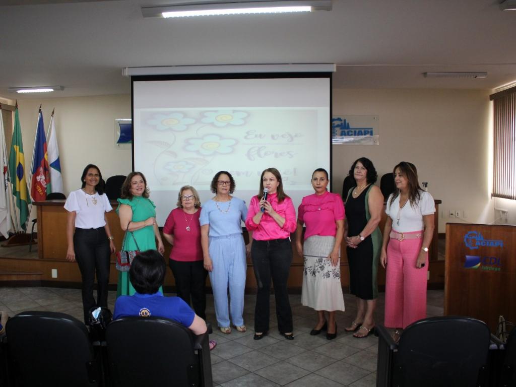 O evento ocorreu no auditório da Aciapi-CDL