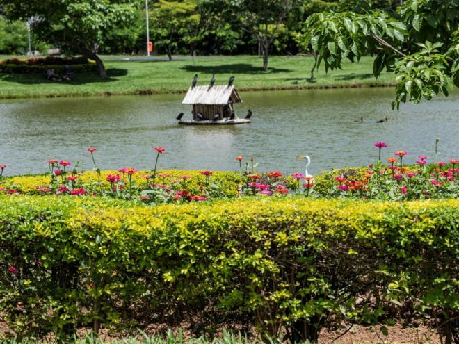 Governo de Ipatinga informa que 40% dos serviços de plantio e paisagismo realizados nos últimos meses na cidade têm sido comprometidos por atos de vandalismo