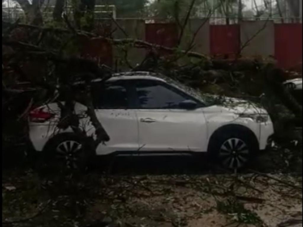 Ninguém se feriu e houve apenas danos materiais nessa queda de árvores na rua Beta, bairro Castelo 