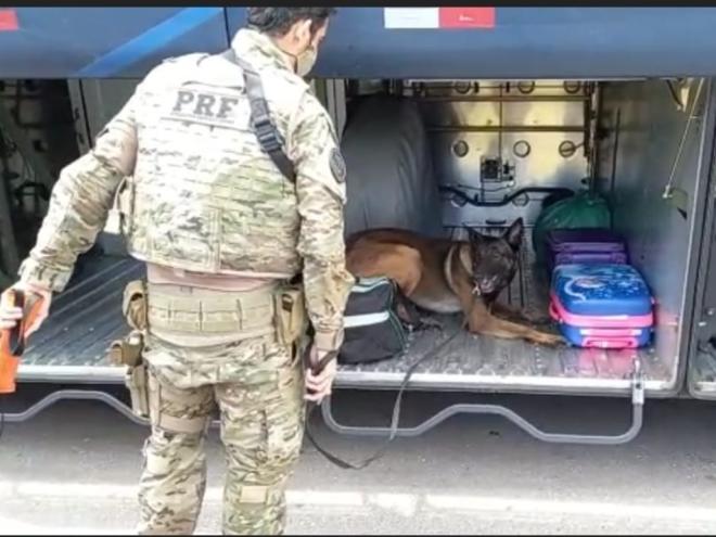 Jovem confessou que receberia uma quantia em dinheiro por transportar as malas do Paraná até Betim 