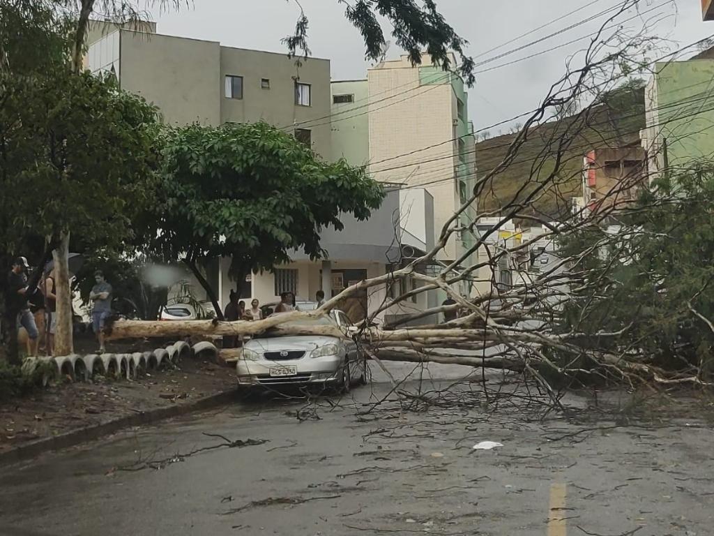 No bairro Ayrton Senna, duas árvores caíram e atingiram um carro  que estava estacionado