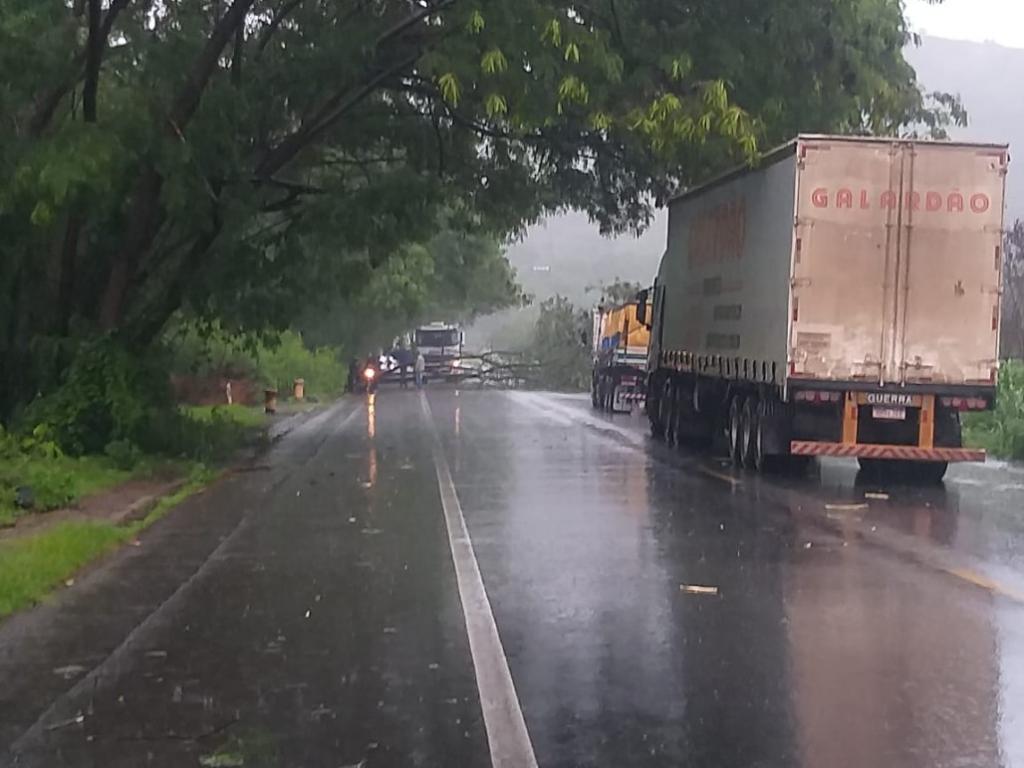 Motoristas que passaram a madrugada parados na queda de barreira perto da entrada de São Joaquim da Bocaina, tiveram outra surpresa: queda de árvore voltou a interditar o tráfego no contorno rodoviário em Timóteo