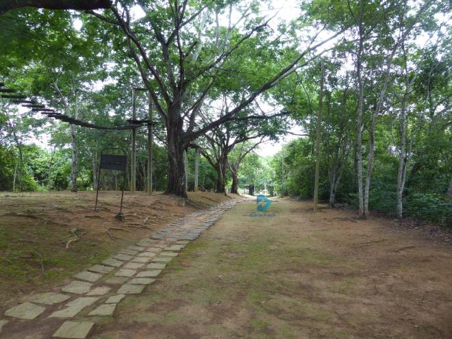 Ekos deverá atualizar o Plano de Manejo do Perd, elaborado em 2003