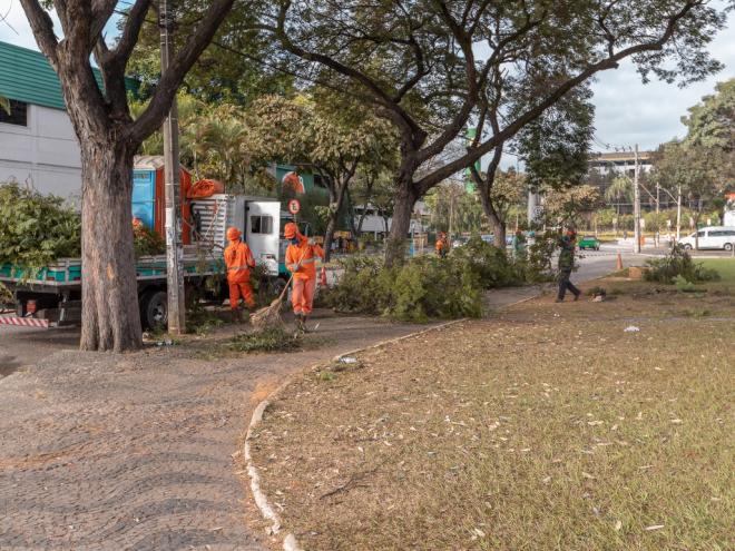 A ação deverá ser feita cumprindo questões estéticas, paisagísticas e também de segurança dos usuários da via