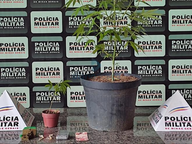 O material ilícito que foi apreendido durante a abordagem ao jovem suspeito em Coronel Fabriciano