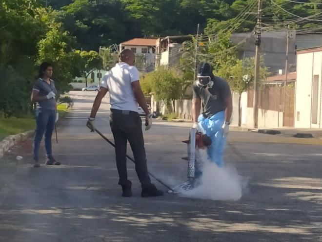 A pulverização costal elimina o mosquito na fase adulta