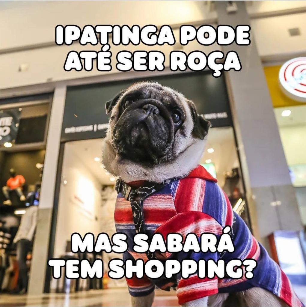 Prefeitura Municipal de Ipatinga - Prefeito anima servidores com