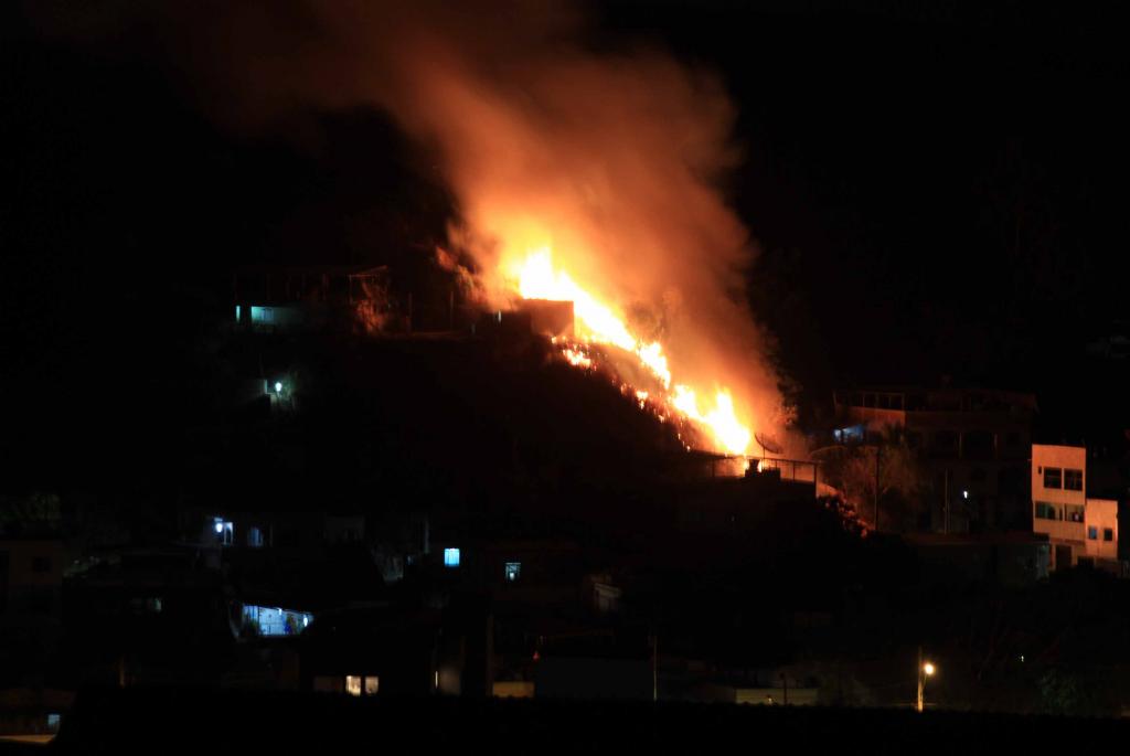 Em poucos minutos chamas destruíram vegetação