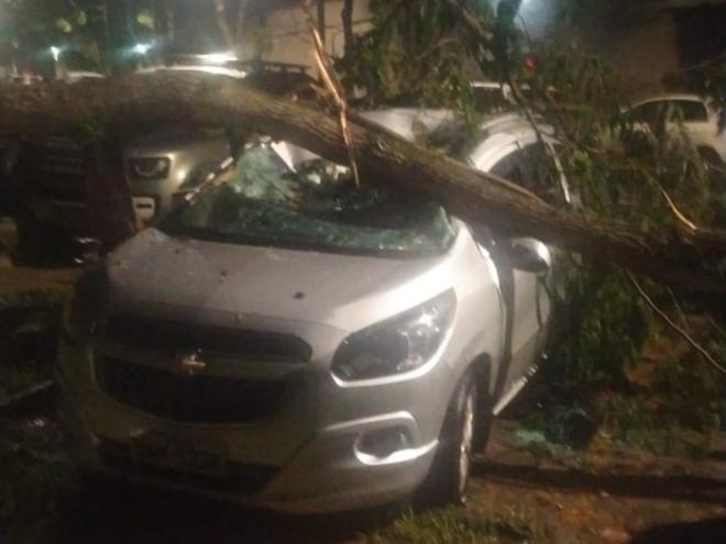 Carro ficou parcialmente destruído com a queda dessa árvore, no bairro Bom Retiro; outros veículos foram atingidos tambem 