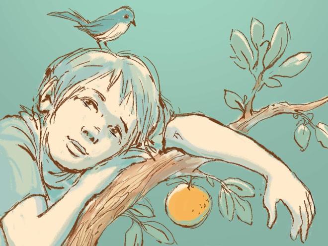 Detalhe da capa de recente edição do livro ''Meu Pé de Laranja Lima''