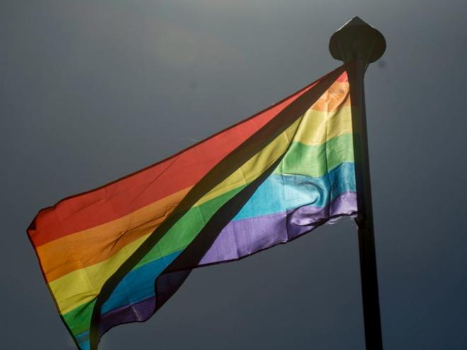 População de homossexuais ou bissexuais é maior entre os que têm nível superior e maior renda