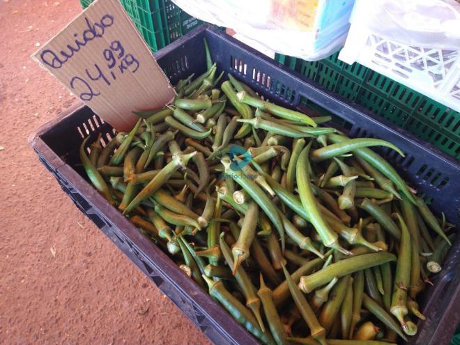 Na quinta-feira, o preço/kg do quiabo estava em R$ 24,99 na Feira Atacadista do Ipatingão