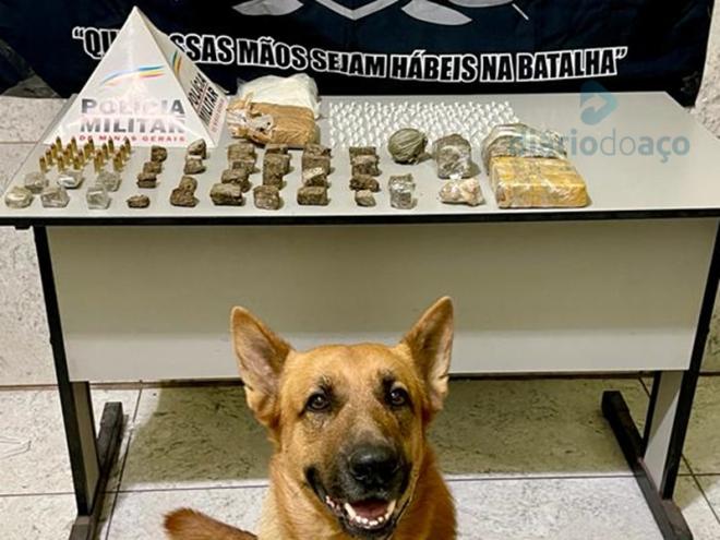 O cão Lion auxiliou os policiais na localização do material entorpecente