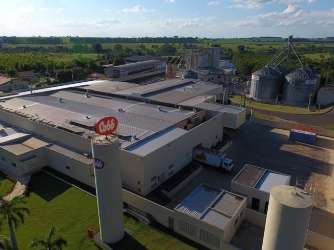 Cobb-Vantress vai investir R$ 50 milhões para unidade de fornecimento de animais para granjas de Minas e estados vizinhos