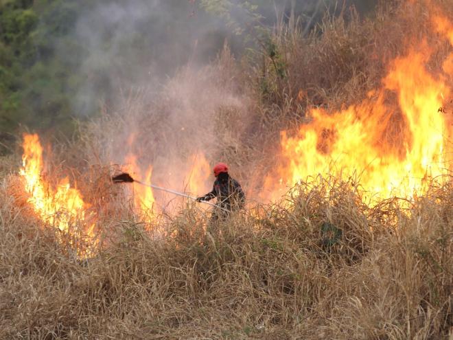 O mês de julho é caracterizado pelo pico de ocorrências de incêndios florestais