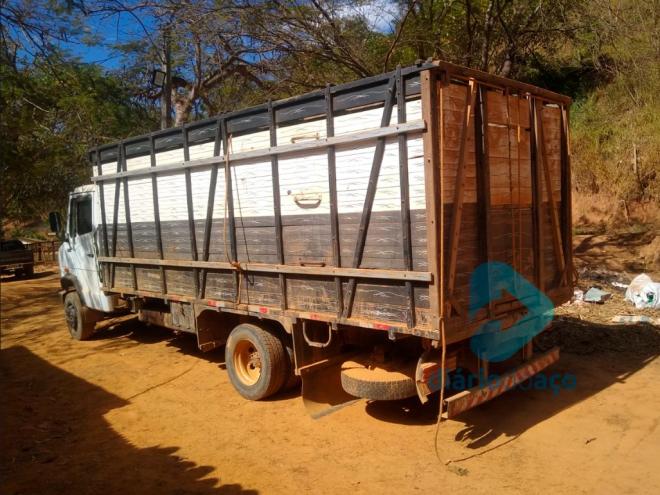 O caminhão-boiadeiro utilizado no transporte dos animais furtados foi localizado na região de Urucânia