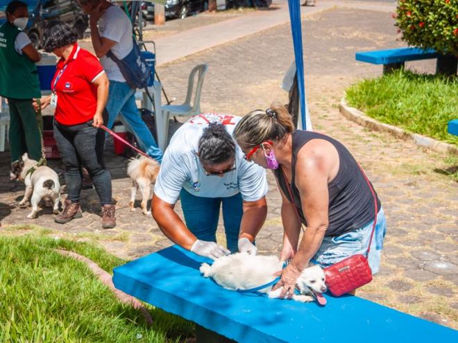 Imunização de cães e gatos ocorrerá em todos os bairros da cidade e deve atender mais de nove mil animais até 25 de agosto